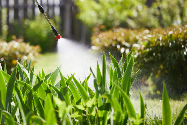 24/7 Emergency Mosquito Control experts in Marshfield Hills, MA