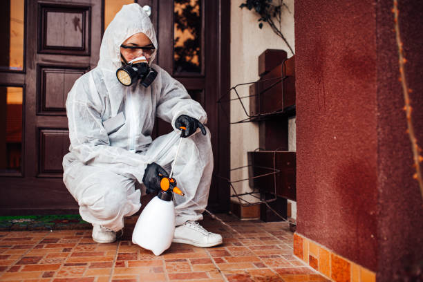 Reliable Mosquito Control contractor in Marshfield Hills, MA by Show Me Pest Control